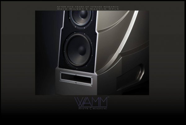 WAMM Bass module.jpg