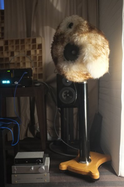 DSCF1262-Copy-Copy-Copy.jpg DSCF1262-Copy-Copy-Copy.jpg