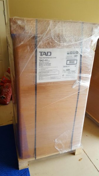 TAD-R1-MKIIs-Carton2-20161220_122856.jpg