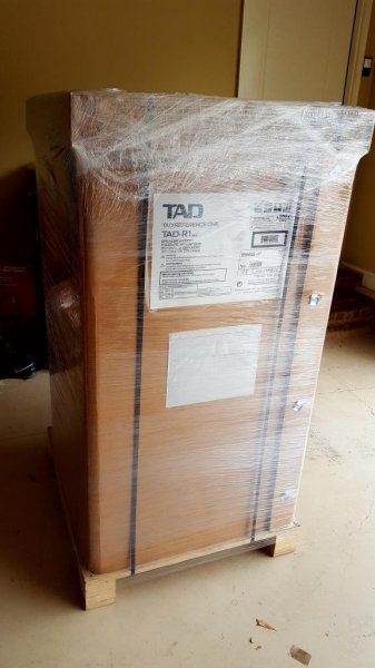 TAD-R1-MKIIs-Carton1-20161220_122903.jpg