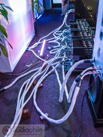 CAF-VAC-05034.jpg CAF-VAC-05034.jpg