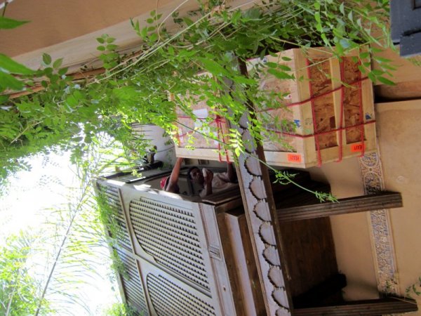 Barely Fit.jpg Barely Fit.jpg