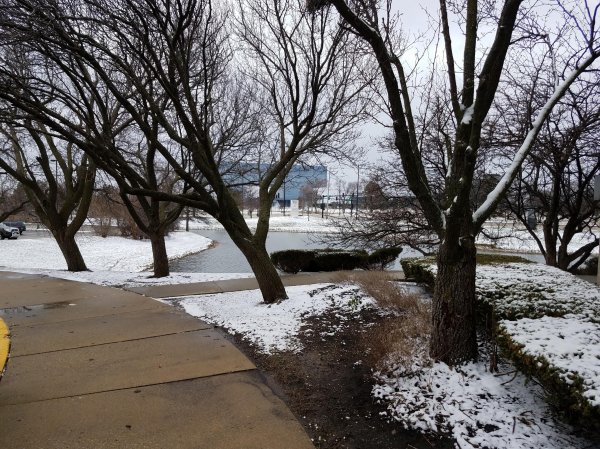 20180416_110154.jpg 20180416_110154.jpg