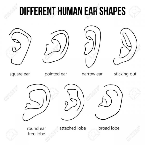73638820-different-human-ear-shapes-all-types-of-ears-.jpg