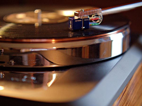 Side raw jpeg.jpg Side raw jpeg.jpg