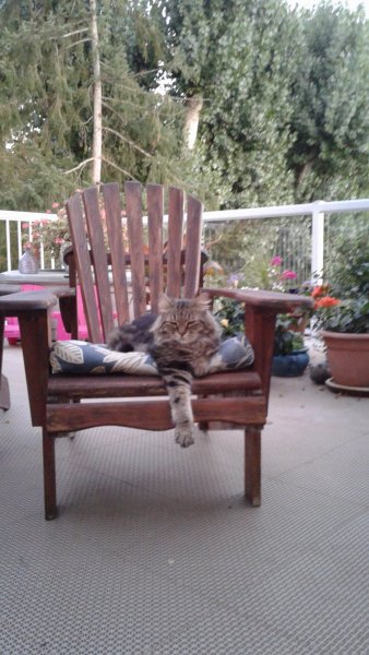 20170903_200032.jpg 20170903_200032.jpg