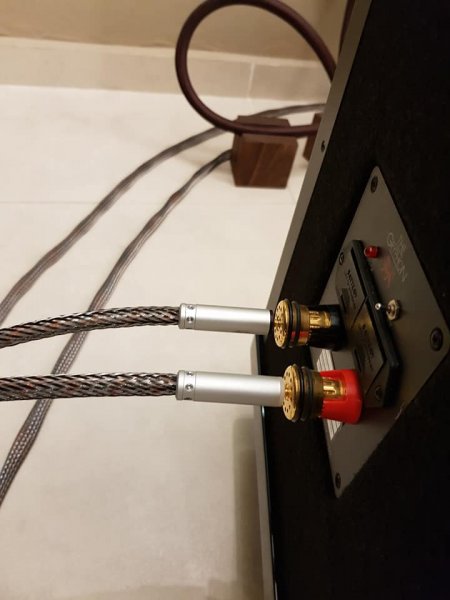 44996427.jpg 44996427.jpg