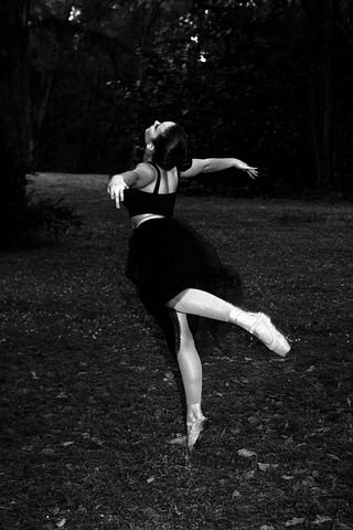 ballerina-826098__480.jpg