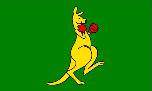 Boxing Kangaroo.jpg