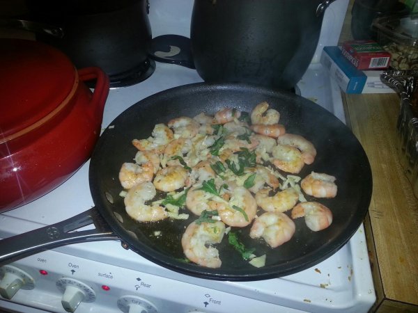 705341_2536995360689_44019547_o.jpg 705341_2536995360689_44019547_o.jpg