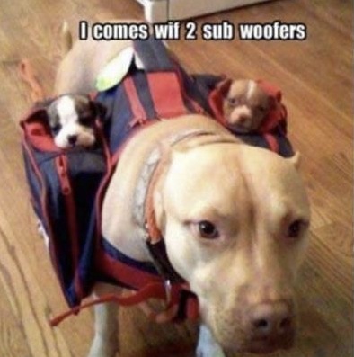 sub woofers.jpg
