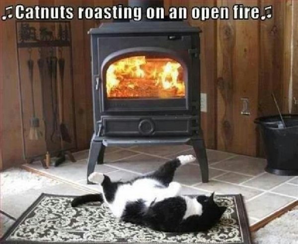 Catnuts roasting.jpg