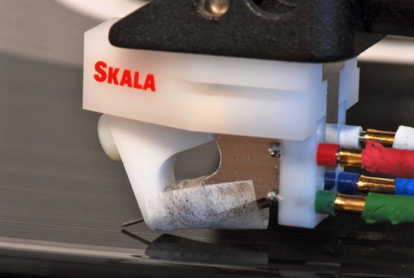 Syntax Lyra   - 2.jpg