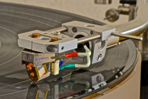 Syntax Lyra   - 29.jpg