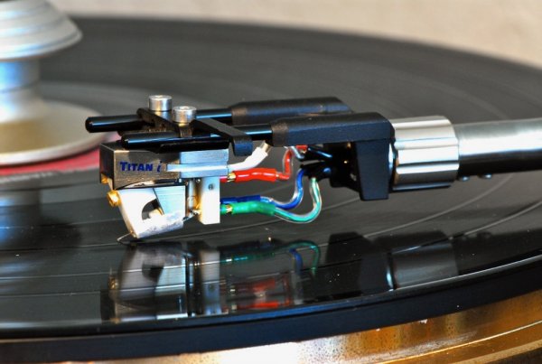 Syntax Lyra   - 3.jpg