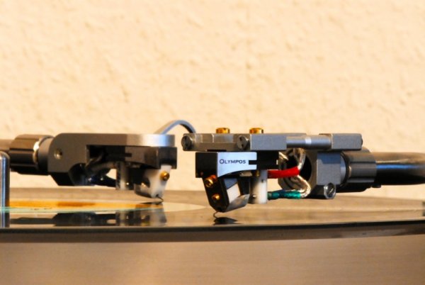 Syntax Lyra   - 6.jpg