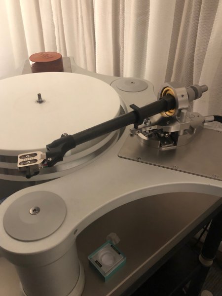 IMG_8795.jpeg IMG_8795.jpeg