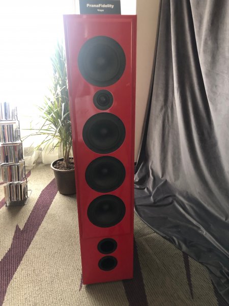 IMG_8867.jpeg IMG_8867.jpeg