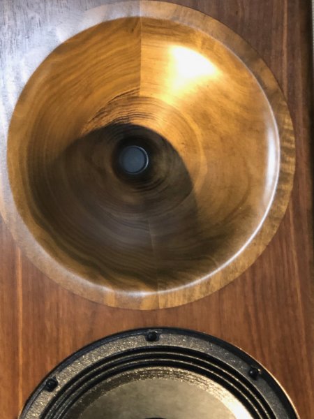 IMG_8911.jpeg IMG_8911.jpeg