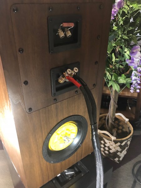 IMG_8913.jpeg IMG_8913.jpeg