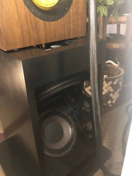 IMG_8914.jpeg IMG_8914.jpeg