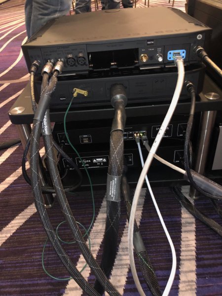 IMG_8945.jpeg IMG_8945.jpeg