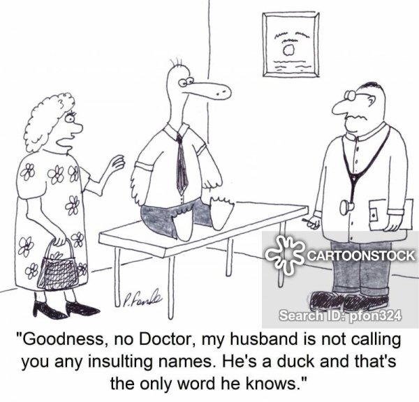 medical-duck-quack-doctors-clinic-poultry-pfon324_low.jpg