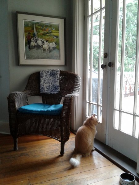 20190917_134913.jpg 20190917_134913.jpg