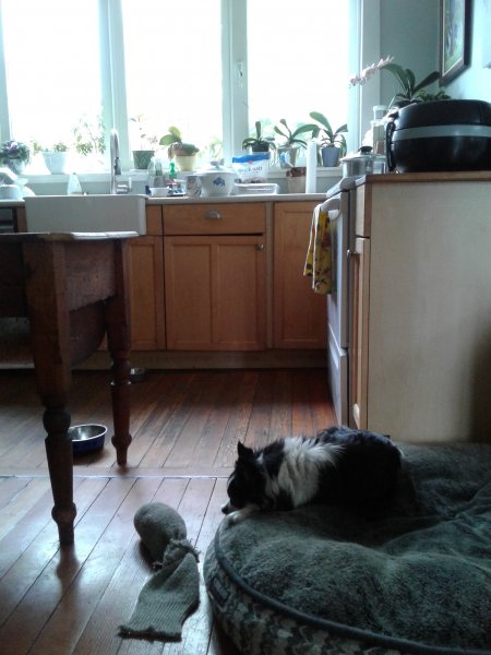 20190917_134931.jpg 20190917_134931.jpg