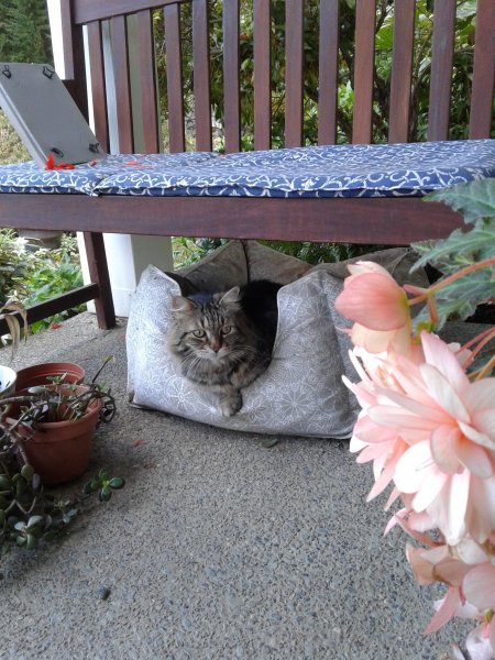 20190920_130917.jpg 20190920_130917.jpg