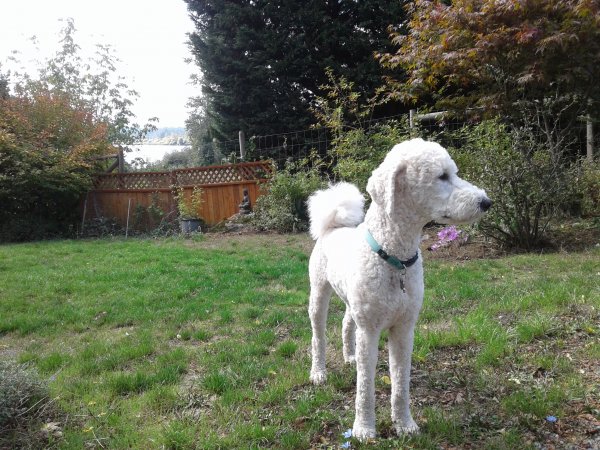 20190920_131043.jpg 20190920_131043.jpg