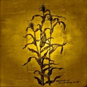 wovenhand_laughingcoverart-300x300.jpg wovenhand_laughingcoverart-300x300.jpg