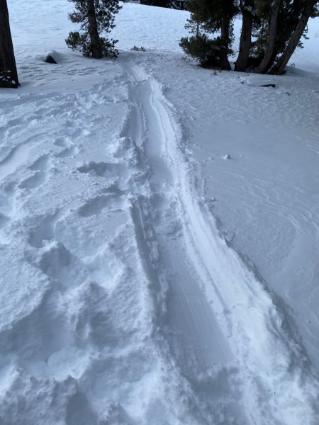 7021EAC0-642D-4ECF-88E4-27F36244B27C.jpeg 7021EAC0-642D-4ECF-88E4-27F36244B27C.jpeg