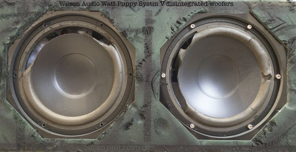 2020-0905-WilsonAudioWattPuppyDistintegratedWoofer-f1_8,2016x1032.jpg