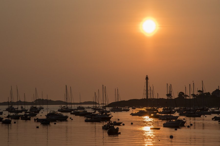 DSC_8353.jpg DSC_8353.jpg