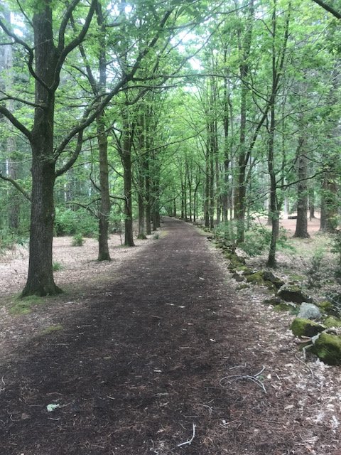 IMG_0449.jpeg IMG_0449.jpeg