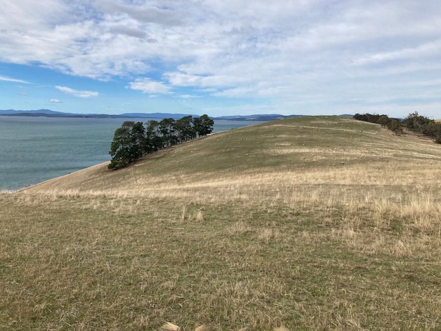 IMG_1862.jpeg IMG_1862.jpeg