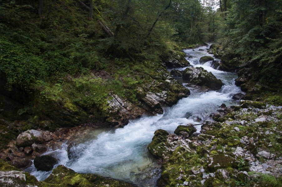 DSC_0004.jpg DSC_0004.jpg