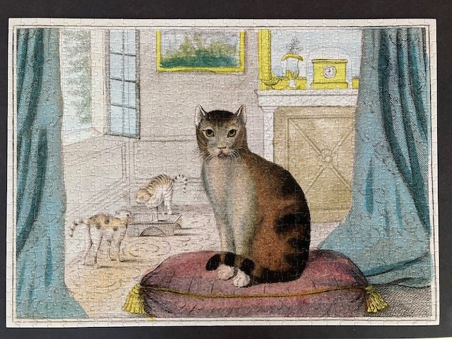 IMG_1745.jpeg IMG_1745.jpeg