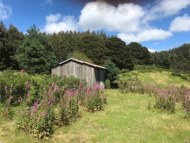 IMG_0421.jpeg IMG_0421.jpeg