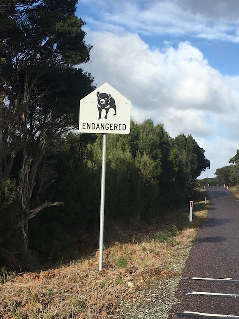 IMG_9747.jpeg IMG_9747.jpeg