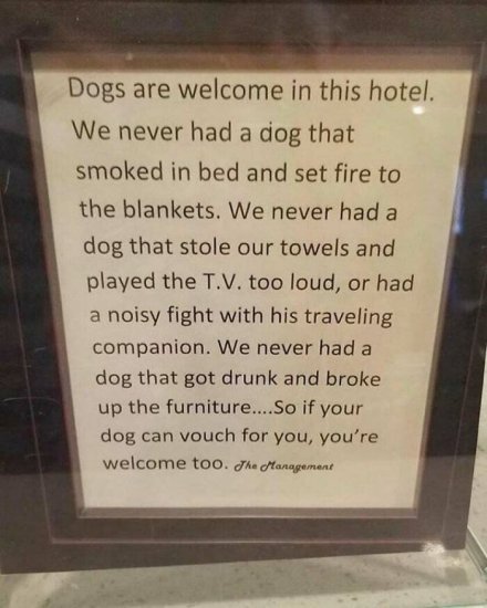 Dog Hotel.jpg