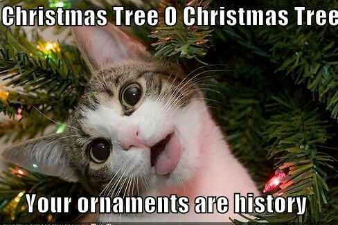 cat_christmas_ornaments.jpg