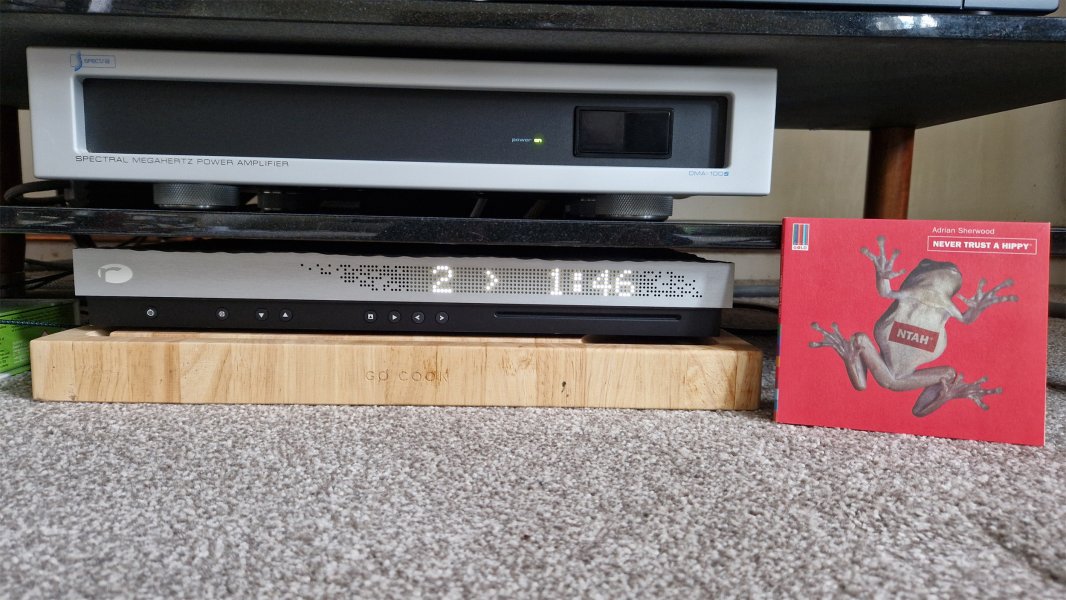 Adrian Sherwood - Never Trust A Hippy.jpg