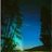 naturephoto1