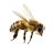 Buzzman